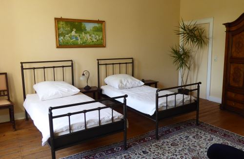 Laubfrosch Elternschlafzimmer