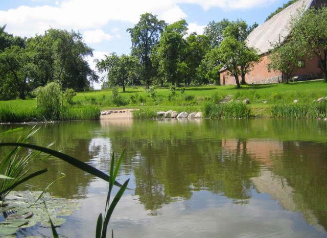 Gut Rodenberg - Badestelle